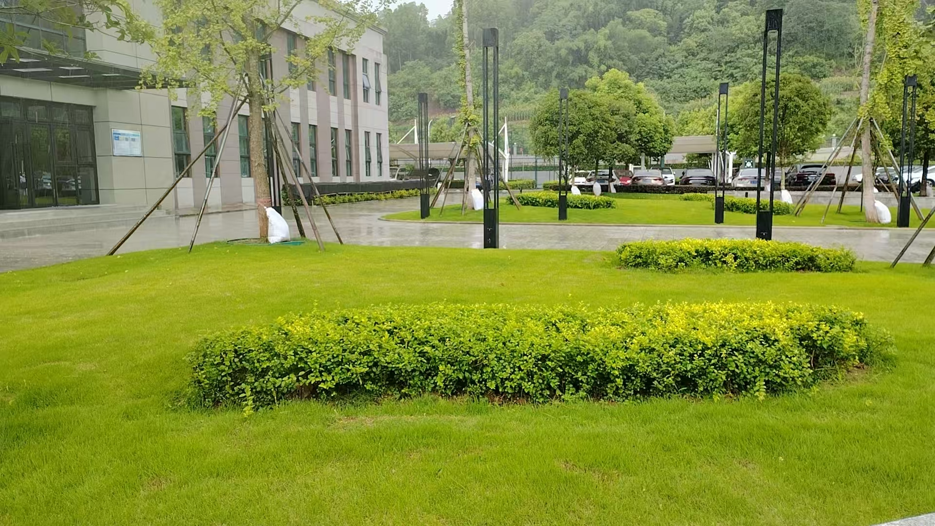 廠區(qū)綠化煥新顏1.jpg 廠區(qū)綠化煥新顏1.jpg